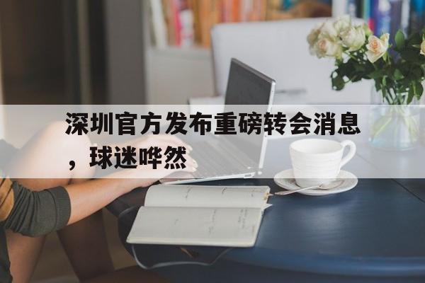 包含深圳官方发布重磅转会消息,球迷哗然的词条